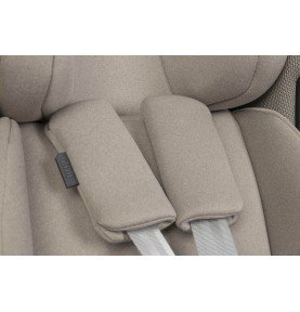 Automobilinė kėdutė EasyGo Buz Taupe (0-13 kg)