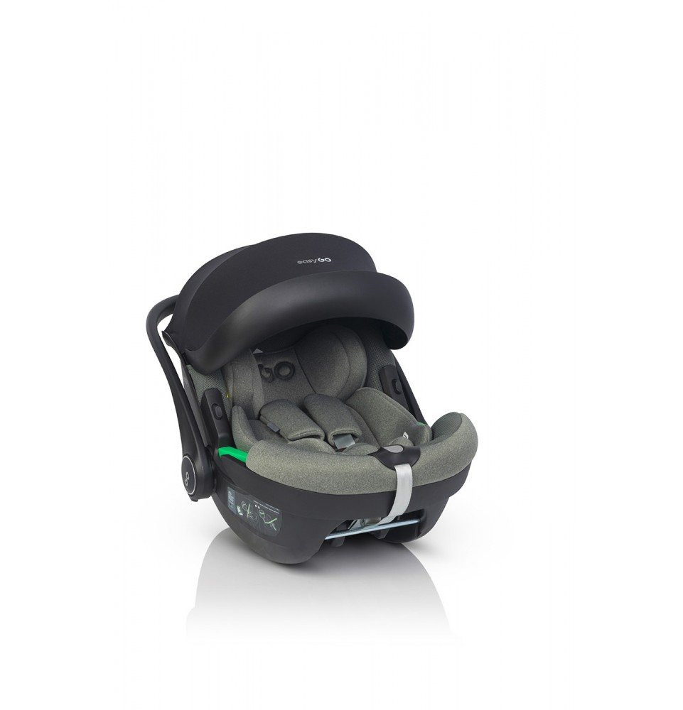 Automobilinė kėdutė EasyGo Buz Greener (0-13 kg)
