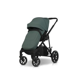Sportinis vežimėlis EasyGo Duoflex Sage Green