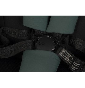 Sportinis vežimėlis EasyGo Duoflex Sage Green