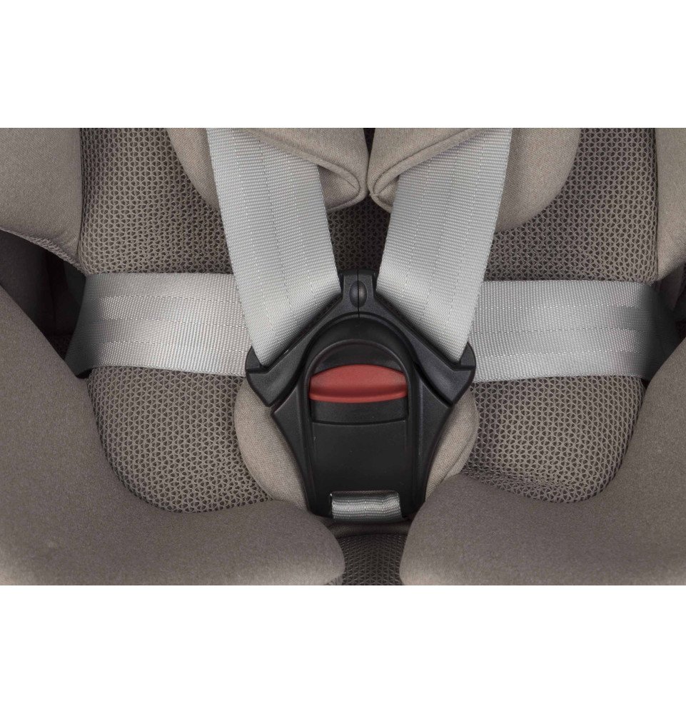 Automobilinė kėdutė EasyGo Buz Pro Body Taupe (0-36 kg)
