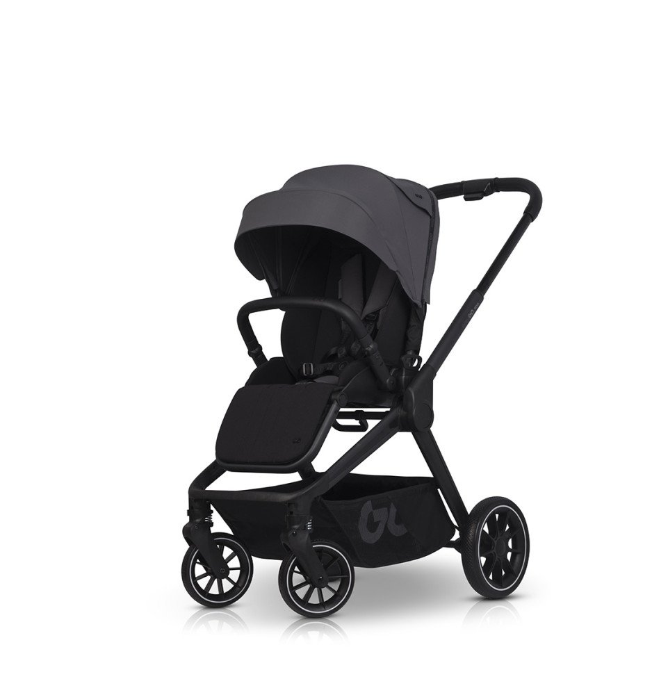 Universalus vežimėlis EasyGo Reva Cloudy Gray