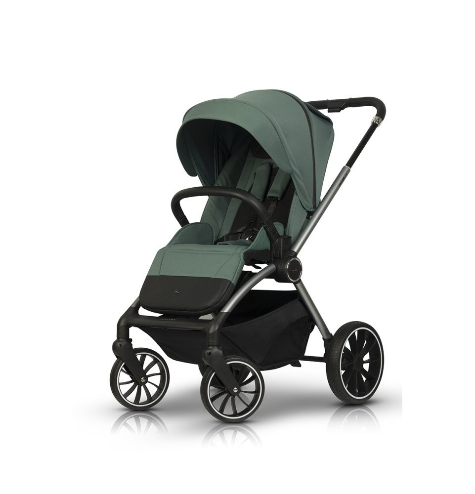 Universalus vežimėlis EasyGo Giro Sage Green