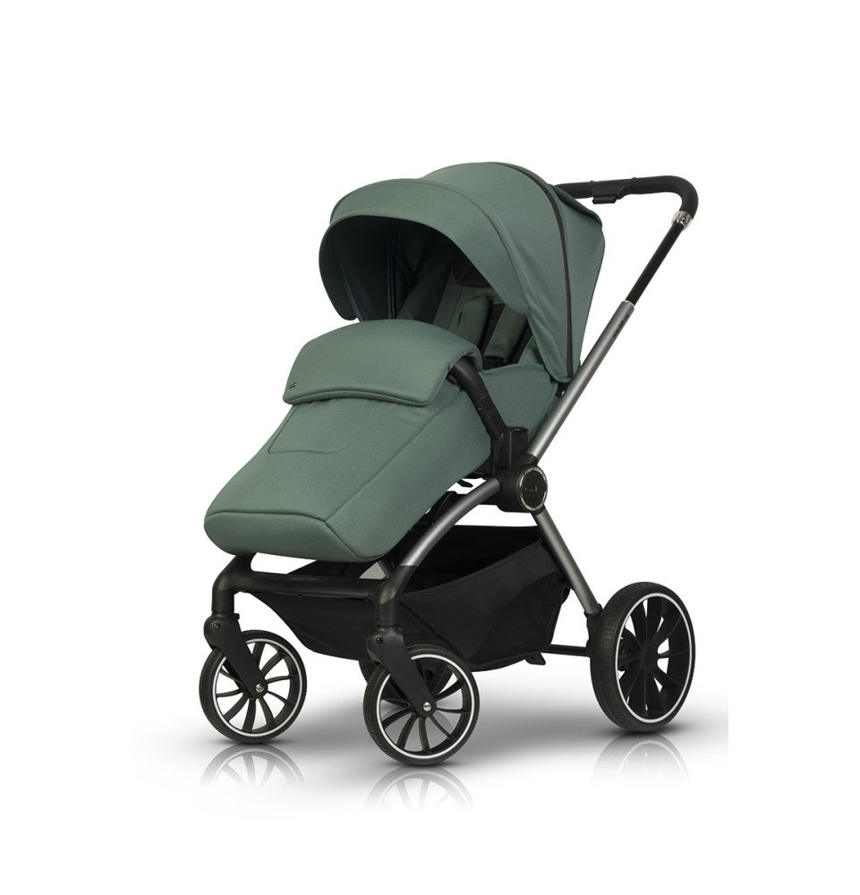 Universalus vežimėlis EasyGo Giro Sage Green