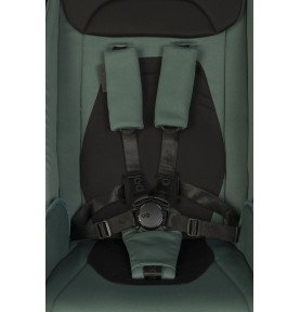 Universalus vežimėlis EasyGo Giro Sage Green