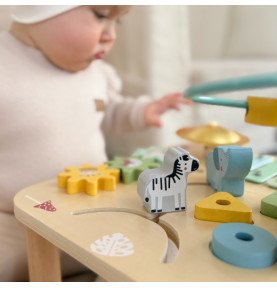 Medinis mokomasis stalas 5in1