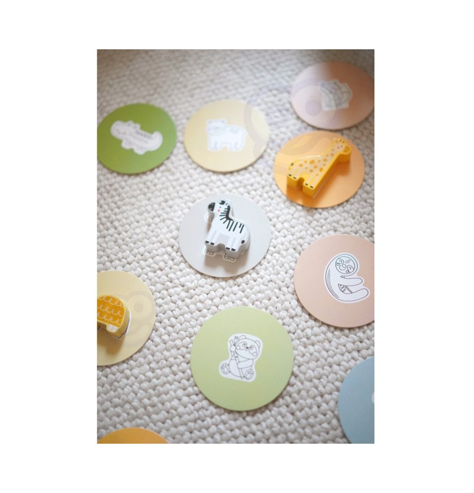 Paslaptinga dėžutė WOOPIE GREEN