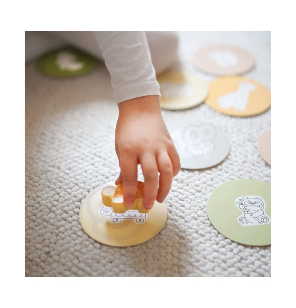 Paslaptinga dėžutė WOOPIE GREEN