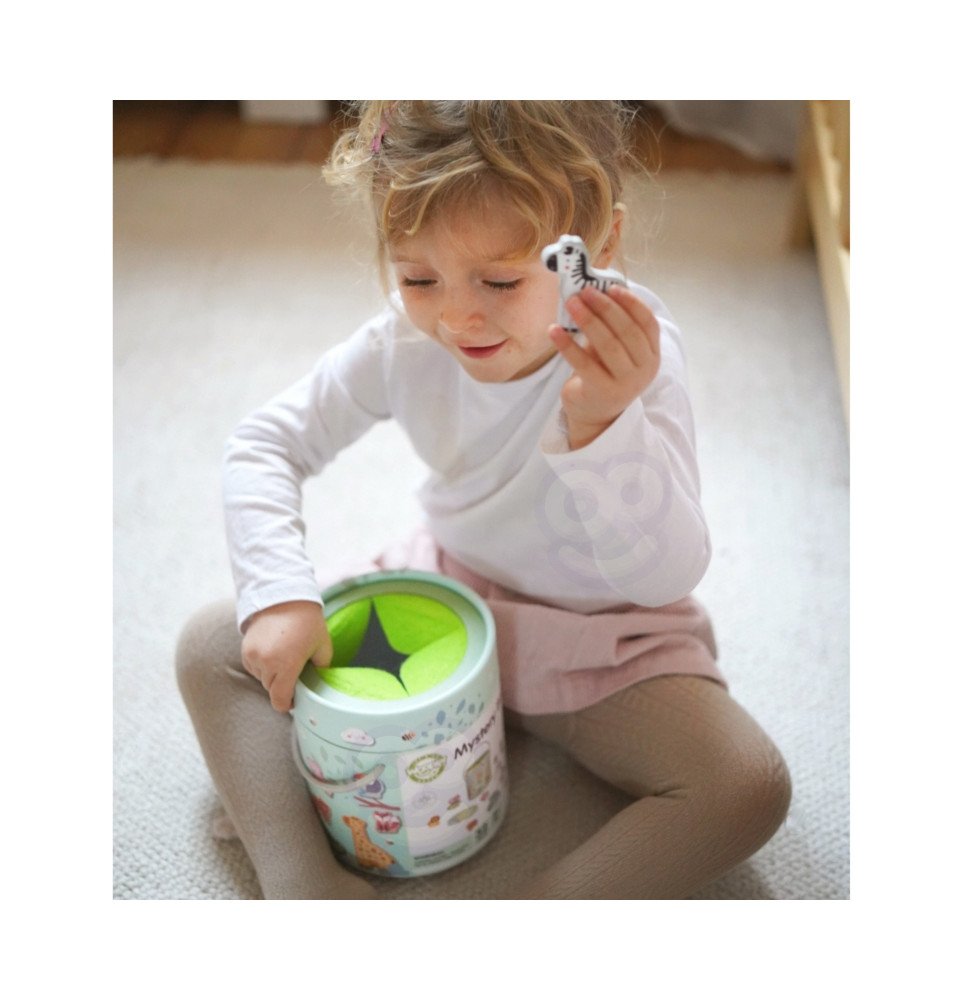 Paslaptinga dėžutė WOOPIE GREEN