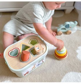 Edukacinis rinkinys WOOPIE GREEN Box 3in1