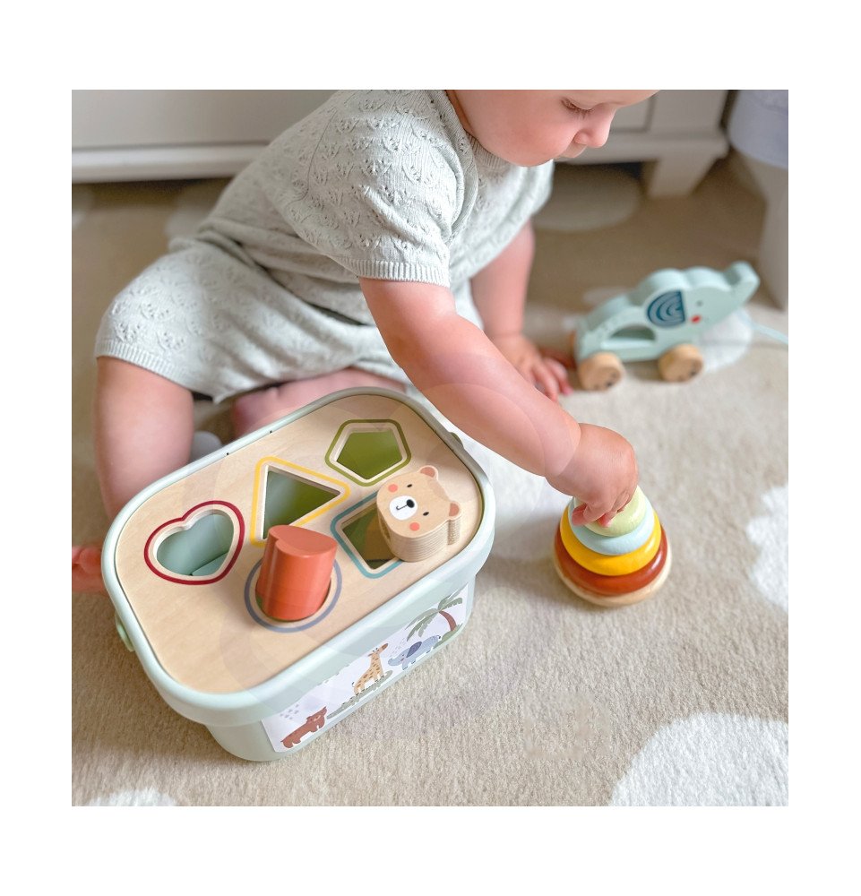 Edukacinis rinkinys WOOPIE GREEN Box 3in1