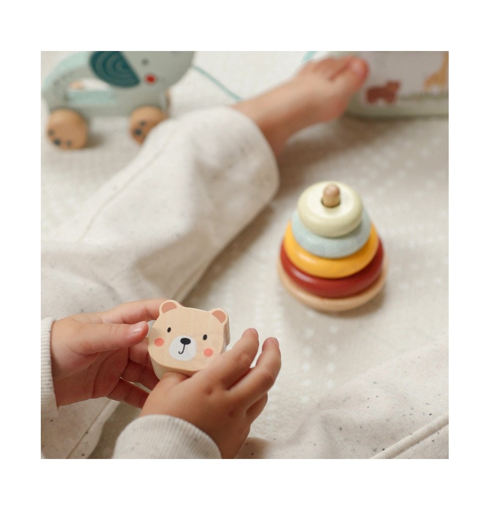 Edukacinis rinkinys WOOPIE GREEN Box 3in1