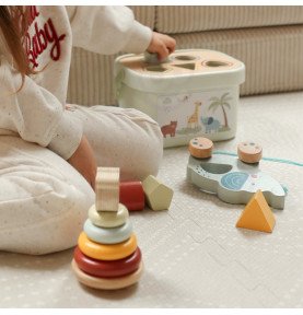 Edukacinis rinkinys WOOPIE GREEN Box 3in1