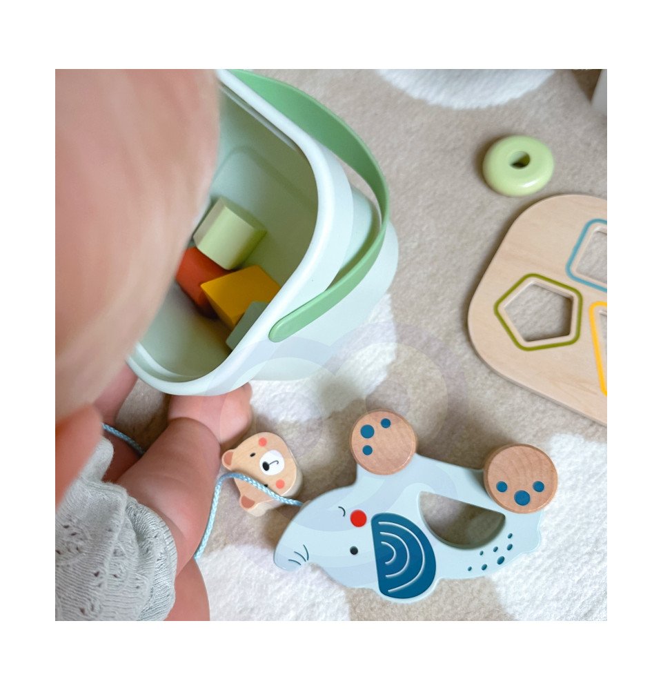 Edukacinis rinkinys WOOPIE GREEN Box 3in1