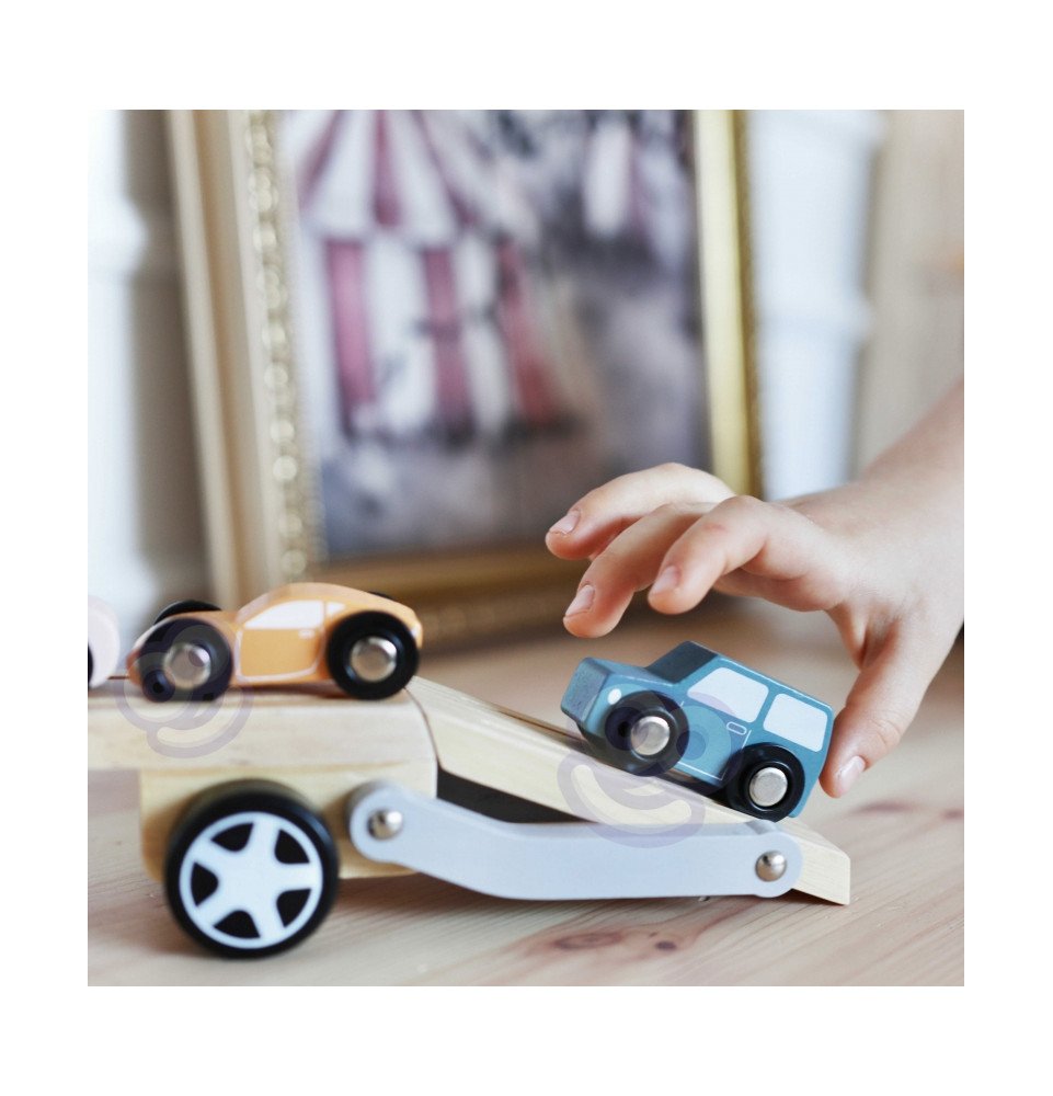 Medinis vilkikas su automobiliais