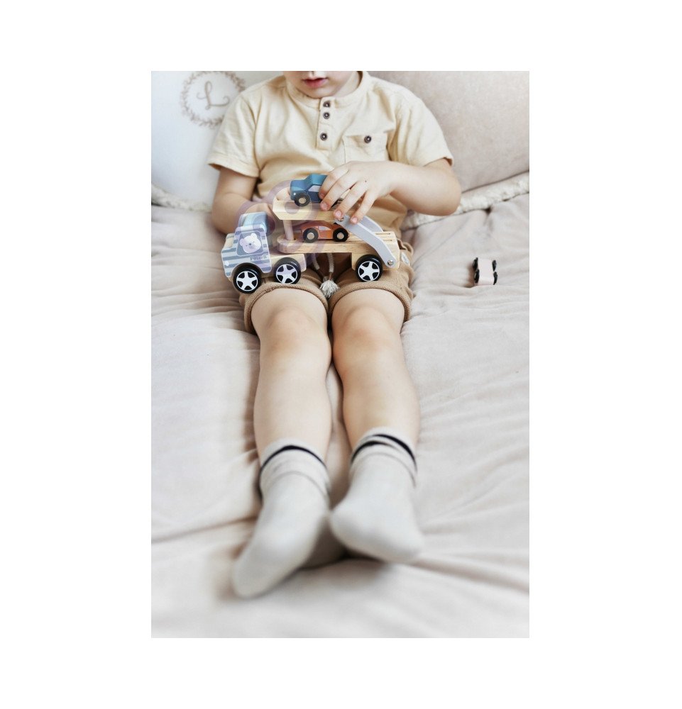 Medinis vilkikas su automobiliais