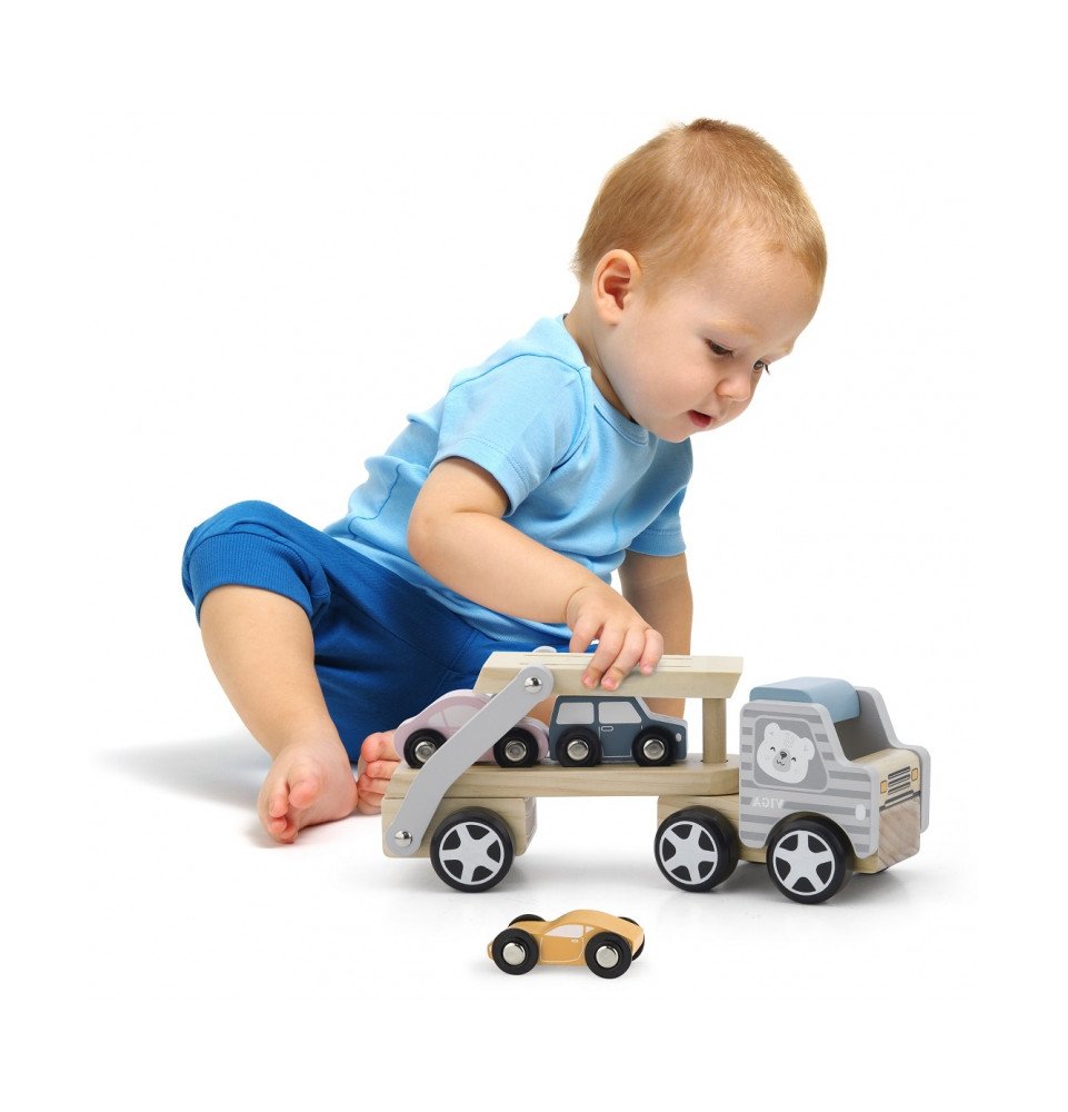 Medinis vilkikas su automobiliais