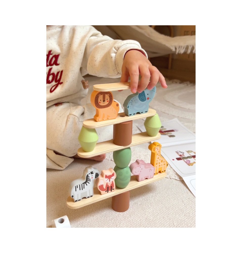 Medinė balansinė dėlionė