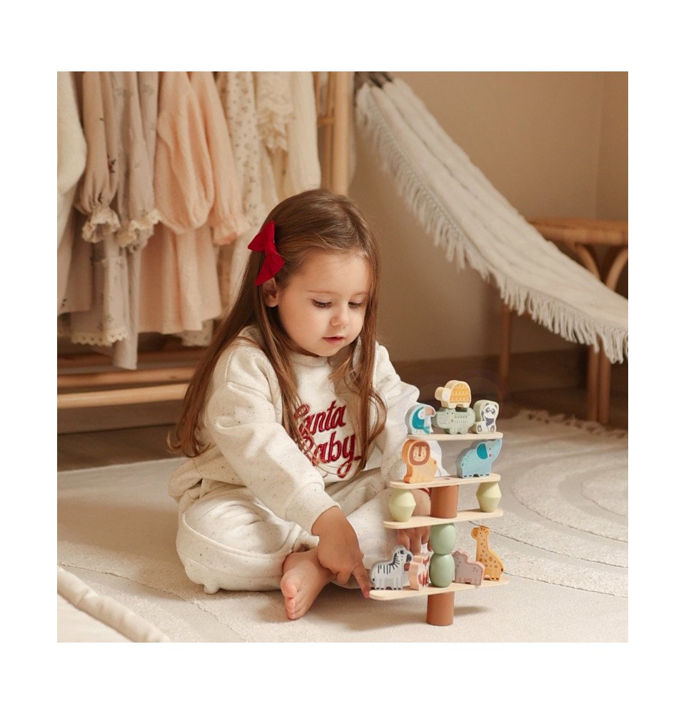 Medinė balansinė dėlionė