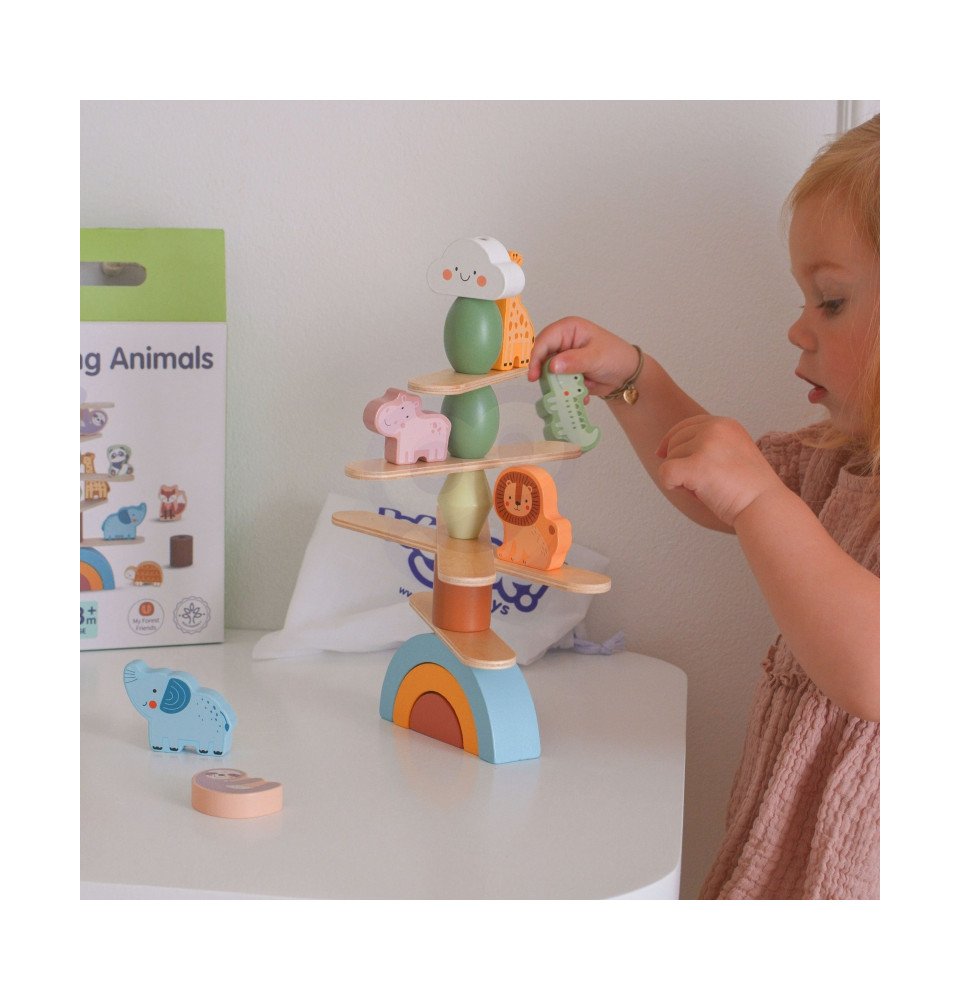 Medinė balansinė dėlionė