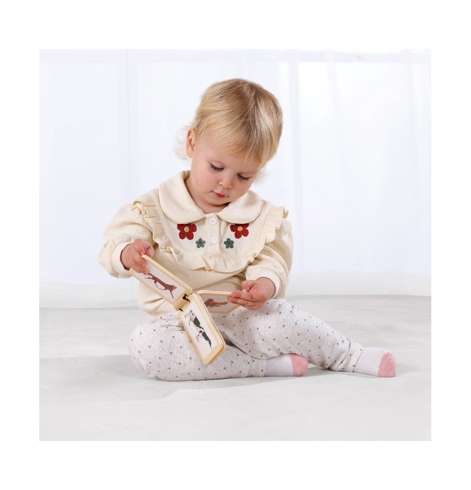 Montessori edukacinė dėžutė 6in1