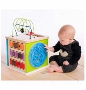 Lavinamasis žaislas Hape Baby Einstein's Lavinamasis kubas, 12mėn