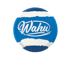 Kamuoliuko gaudymo žaidimas  Wahu Water Grip Ball, 920698106