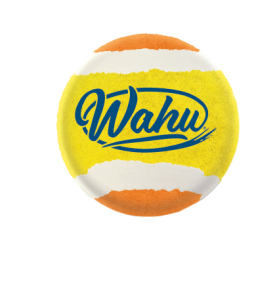 Kamuoliuko gaudymo žaidimas  Wahu Water Grip Ball, 920698106