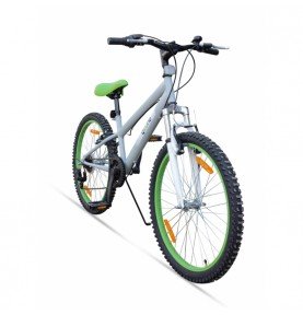 Vaikiškas dviratis Quurio Gear Grey 24''