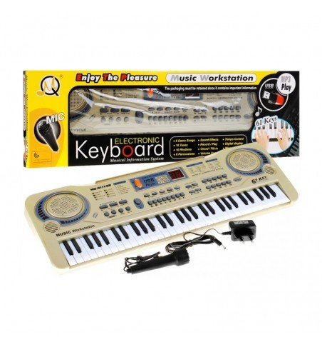 Elektroninis pianinas su mikrofonu, 811