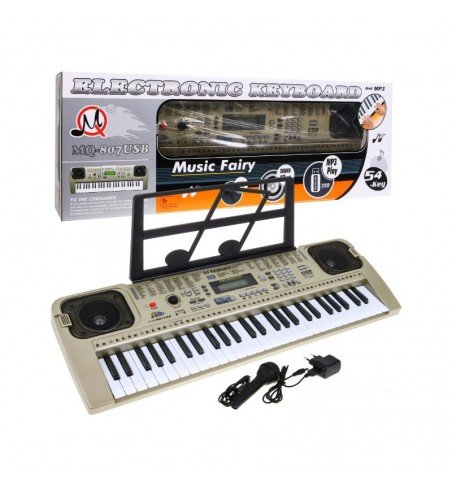 Elektroninis pianinas su stovu ir mikrofonu, 807