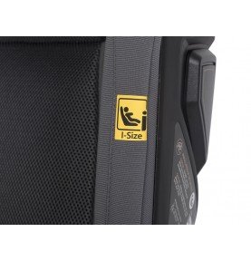 Automobilinė kėdutė Cavoe Grand Prix Pro I-size (15-36 kg), Iron