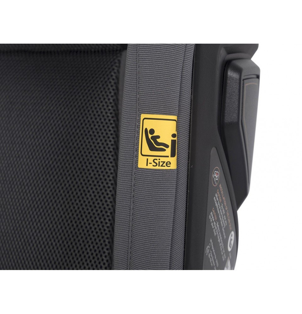 Automobilinė kėdutė Cavoe Grand Prix Pro I-size (15-36 kg), Iron
