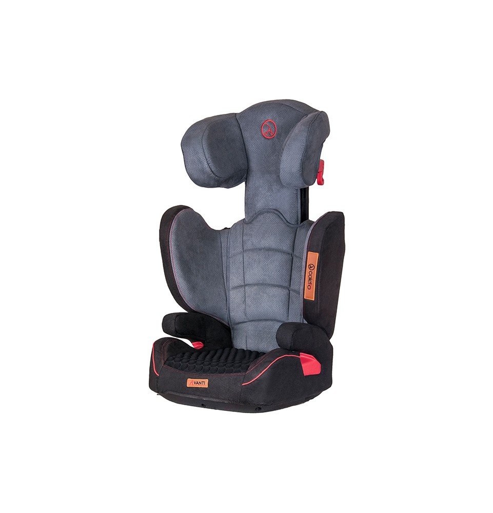 Automobilinė kėdutė Coletto Avanti Grey (15-36kg)