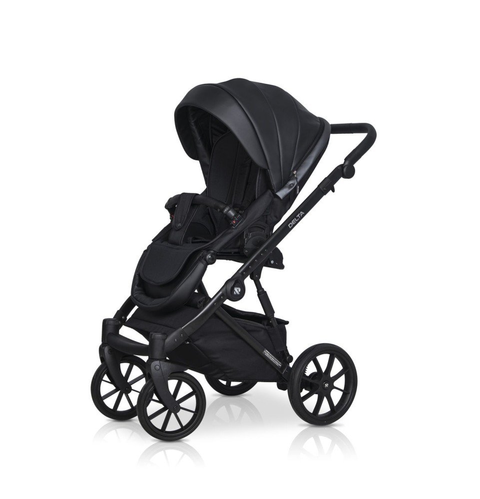 Universalus vežimėlis Riko Basic Delta Ecco 2in1, 15 Black