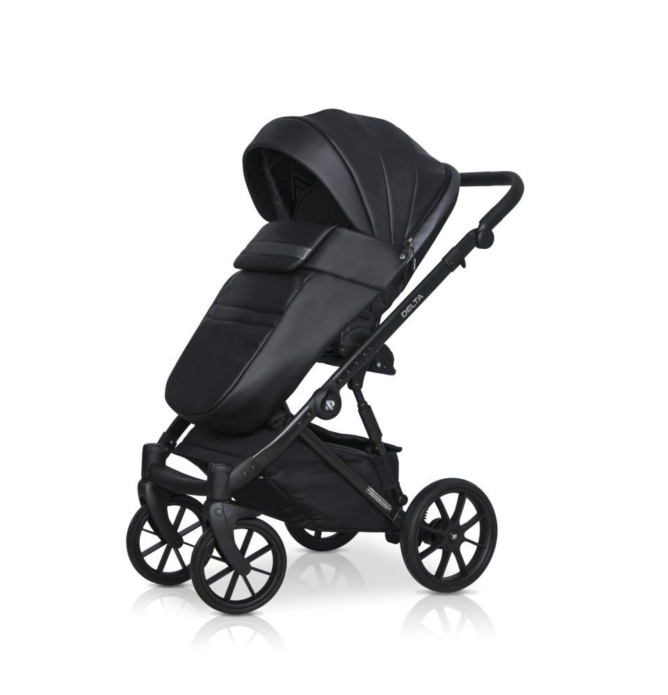 Universalus vežimėlis Riko Basic Delta Ecco 2in1, 15 Black