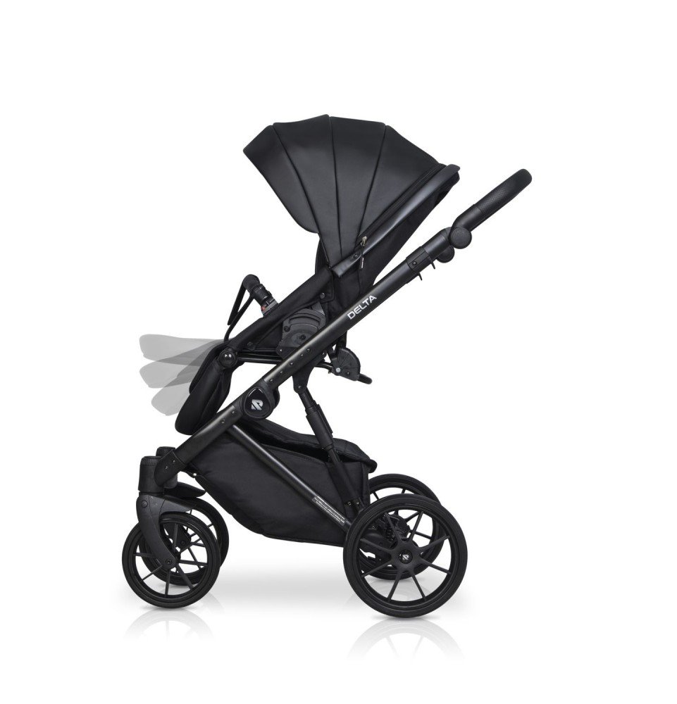 Universalus vežimėlis Riko Basic Delta Ecco 2in1, 15 Black